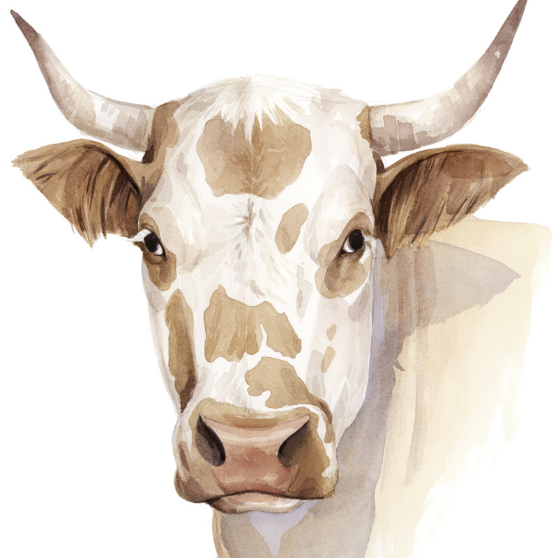 Ranch Shadow II by Grace Popp - Wrapped Canvas Painting, 91cm H x 91cm W x 3.8cm D