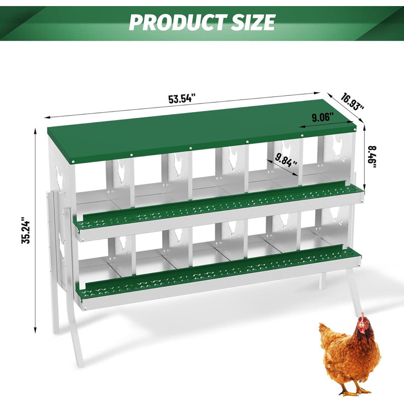 Boîte de nidification pour poulets, boîte à œufs verte avec support à 10 trous, convient aux poules et aux canards, grands trous pour la ventilation, pratique pour ramasser les œufs, entièrement galvanisée