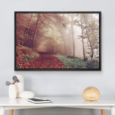 Autumn Fall " Path In The Red Pine Tree Forest "