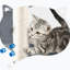 Arbre à chat 28 po