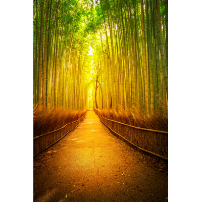 Arashiyama Bamboo Kyoto by Bennymarty - Wrapped Canvas Print