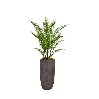 Fougère artificielle en pot 56,25 "Panama