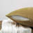 Supersoft Velvet Square Throw Pillow Cover-1411981442