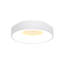 Leday LED Semi Flush Mount-1952857902-1896788016