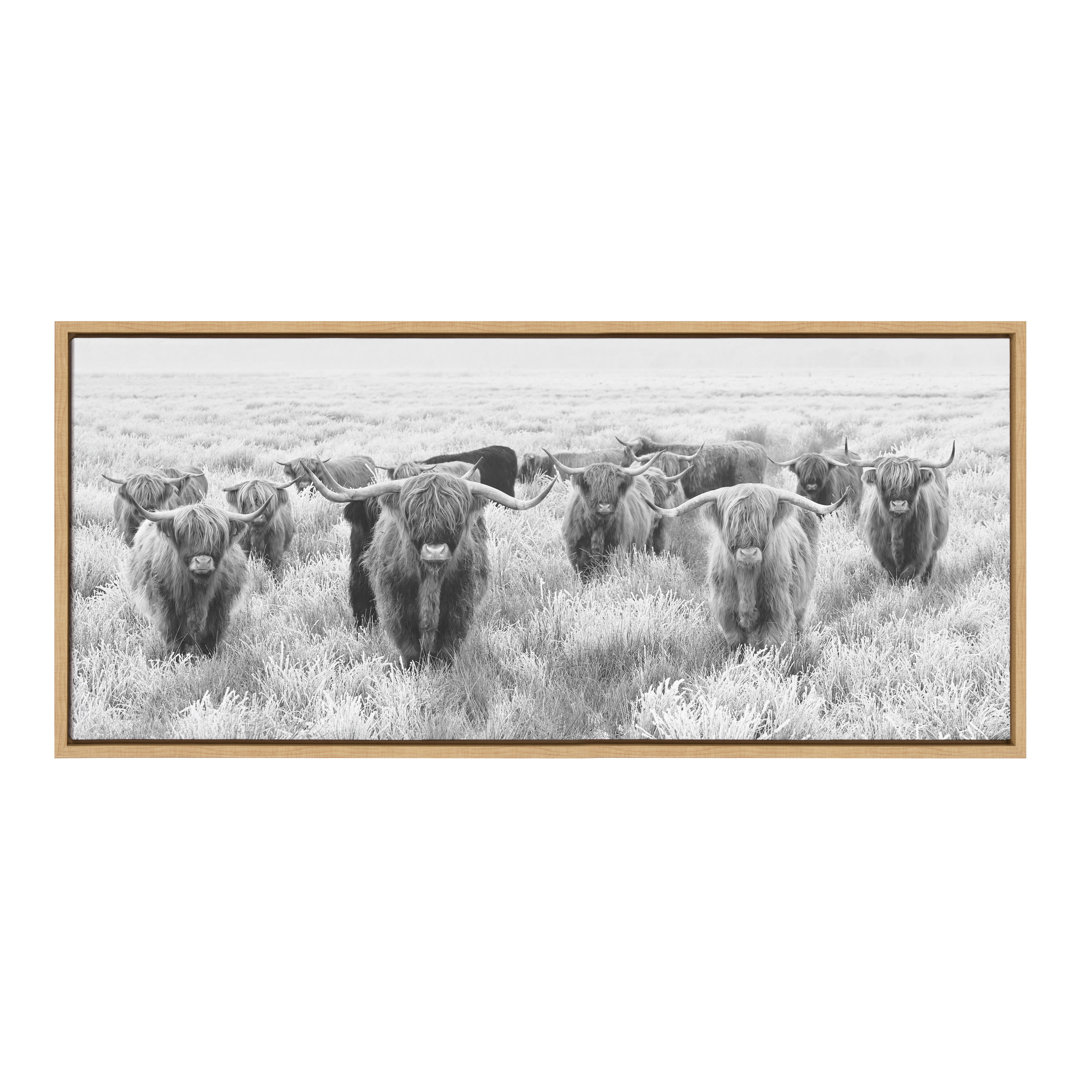Kyshon " Herd Of Highland Cows Black And White " by The Creative Bunch Studio Union Rustic 