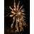 14.17'' Lighted Tree Topper