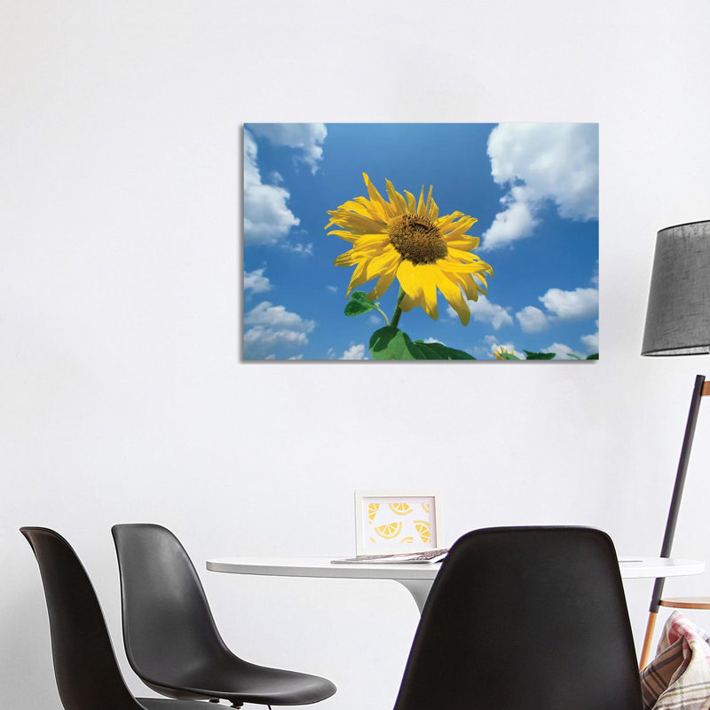 Common Sunflower With Blue Sky And Clouds II by Konrad Wothe - Wrapped Canvas Print, 101.6 cm H x 66.04 cm W
