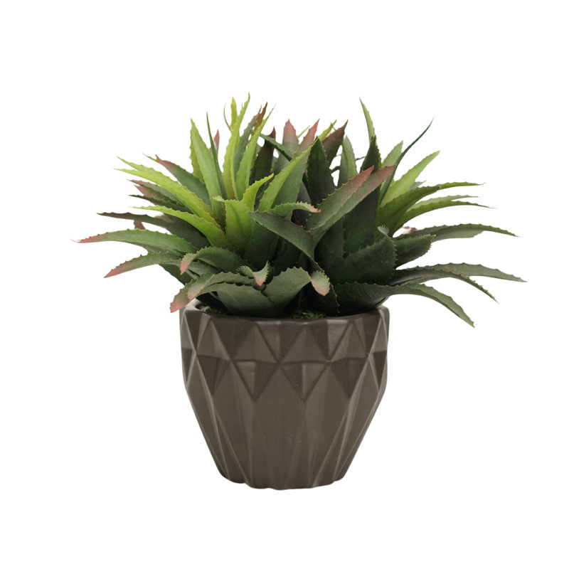 Feuille d'agave à pointe rouge de 35,5 cm (14 po) en céramique noire mat, Noir mat