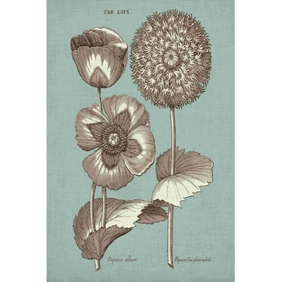 Chambray Chintz III