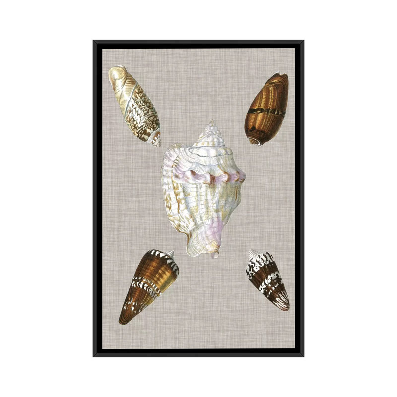 « shells on linen ii », reproduction d’impression sur toile tendue, H 26 po x l 18 po x P 1,5 po, Toile avec cadre noir