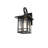 Emrush Outdoor Wall sconce in Black-111140844