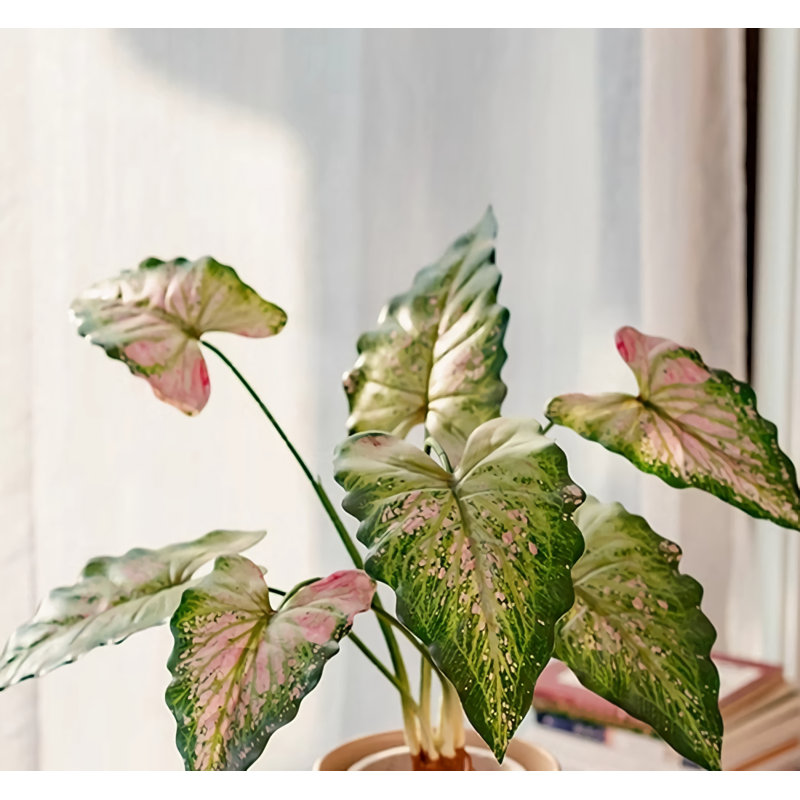 Simulation créative de plantes en pot
