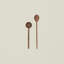 Cooking Spoon
