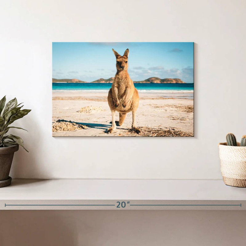 Crowle Lucky Bay Kangaroo, 8" H x 12" W
