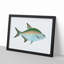 Bream Fish by Edward Donovan - Framed Print-55513200-55513208