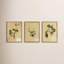 Petite Study Triptych Painting by Hannah Winters-1295908823