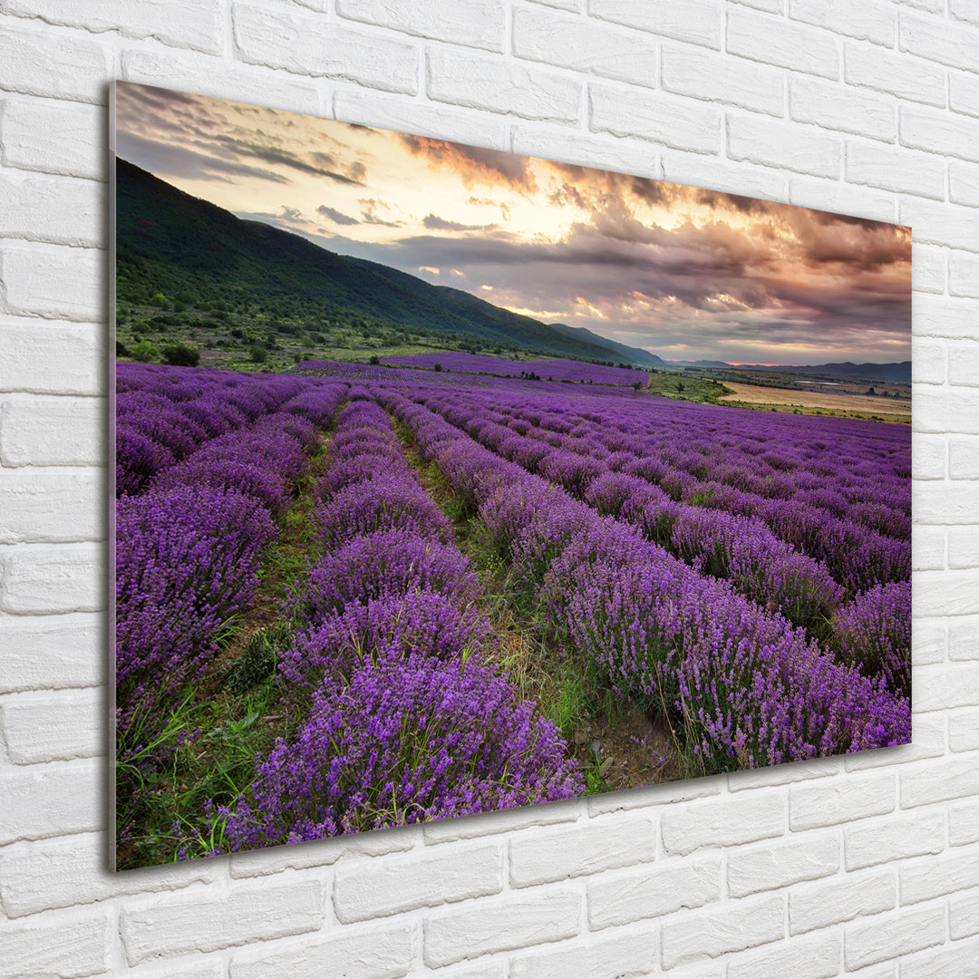 Glasbild Lavender Field