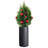 Dorcaster Pot Planter-1533035147
