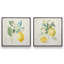 Zesty Little Sunshine, ensemble de 2 impressions-568304937-568304977-568304983