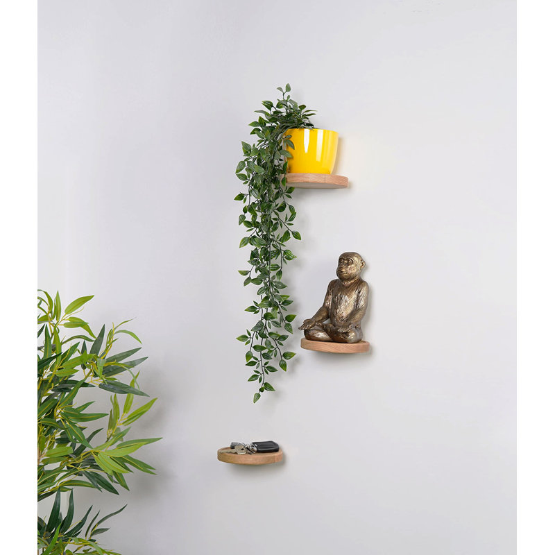 Burrowsville 3 Piece Floating Shelf, Nature