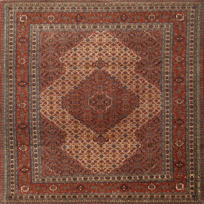 Cabragh Oriental Indoor Rug