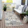 Machine Washable Indoor/Outdoor Xhevrie Putty Rug