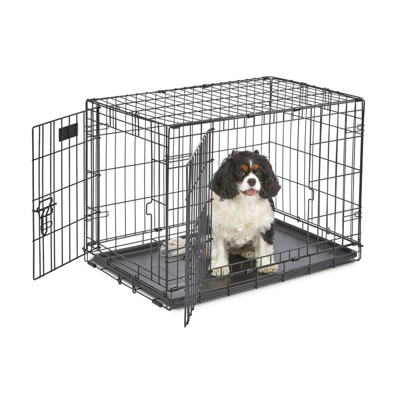 Extra Small Black Rolling Metal Dog Crate with Double Doors