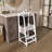 Foldable Cars - Step - Step Stool with Storage-1637935917