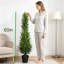 Pin artificiel 5 pi avec pot Norfolk, arbre de Noël artificiel Real Touch, verdure réaliste toute l'année pour la décoration intérieure et extérieure, hall d'entrée, bureau, appartement-1801552390