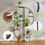 Plant Stand - Set of 9