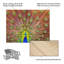 Paon sur bois par Michael-1383281961