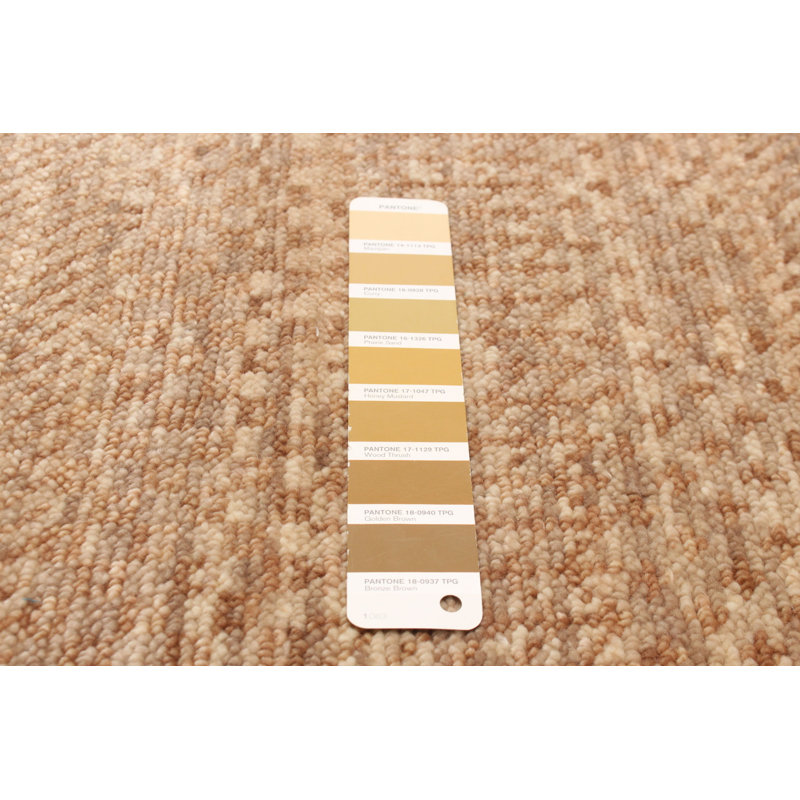 Silk Shadow Brown Rug 6'2" x 9'1"