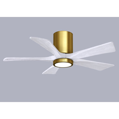 Irene Ceiling Fan with LED Light Kit