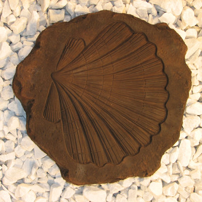 Tremplin Shell