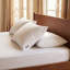 Pillow Goose Down/Feather-483806536