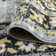 Garney Indoor Rug