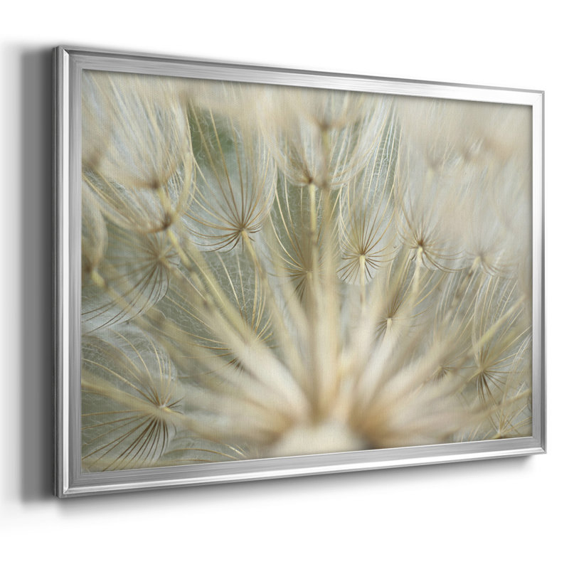 " Macro Dandelion IV ", 30" H x 44" W x 1.5" D, Silver
