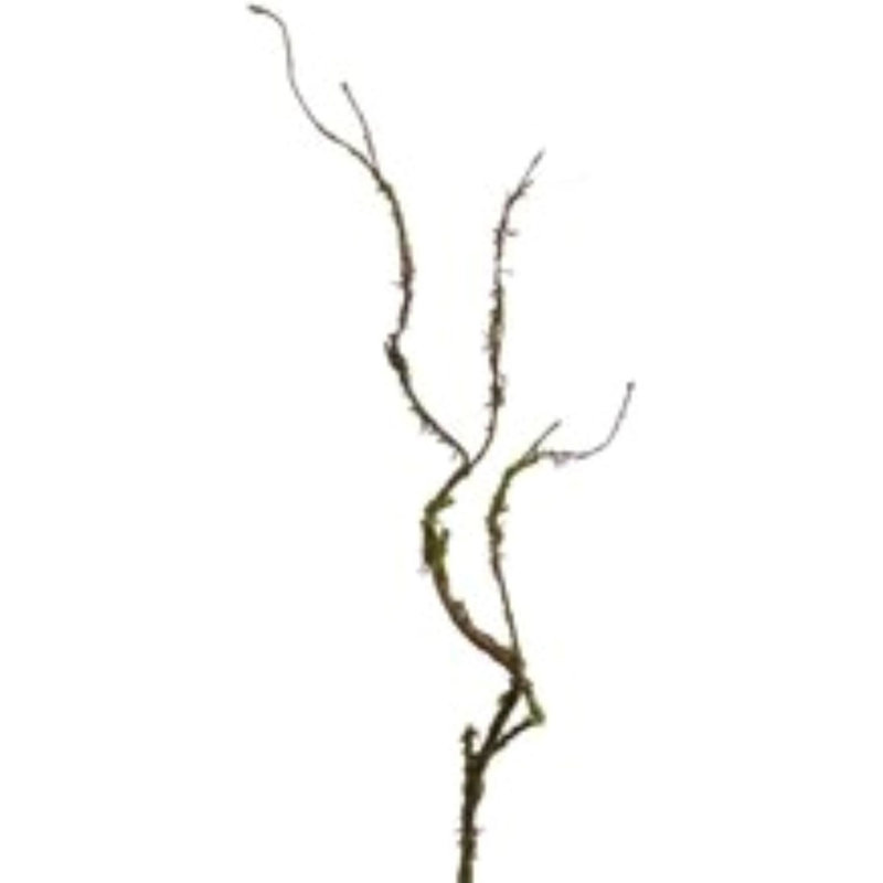 36" Twig Spray With Moss- 6 Pack