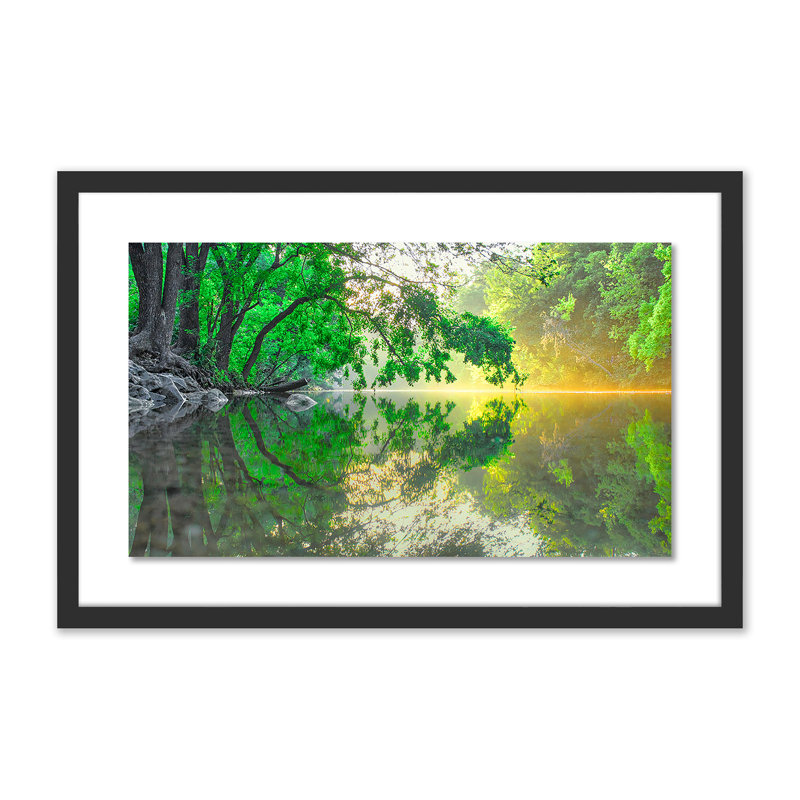 Trees Get Thirsty Too Print by Shawn Thomas, Black, 30" H x 48" W x 2.5" D