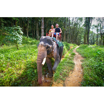 Elephant Trekking In Khao Sok National Park - Wrapped Canvas Print