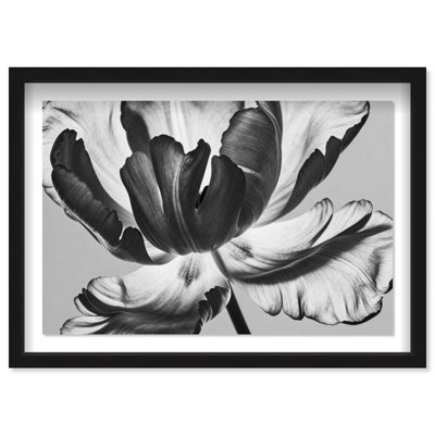 Full Bloom Shadowbox Floral & Botanical Print by Oliver Gal, Black Frame, 15 x 10