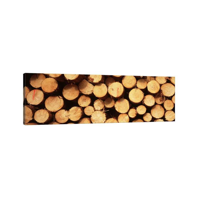 Lumbered Timber Pile, Germany - Wrapped Canvas Panoramic Print, 152.4 cm H x 50.8 cm W x 1.91 cm D