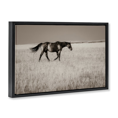 Dashing Montana Stallion Floating Frame, design by Christy Berry