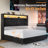 Mansuur Upholstered Platform Storage Bed-1023355789-1023355786