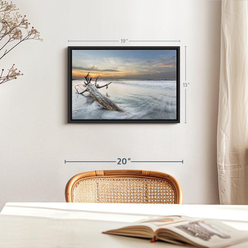 Plage «Hilton Beach Driftwood», H 13 po x l 19 po