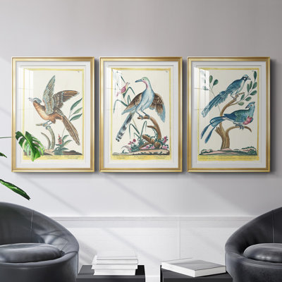 Oiseaux pastel IV - Estampe d'histoire naturelle, encadrée sous verre, lot de 3, décoration murale pour bureau ou salon