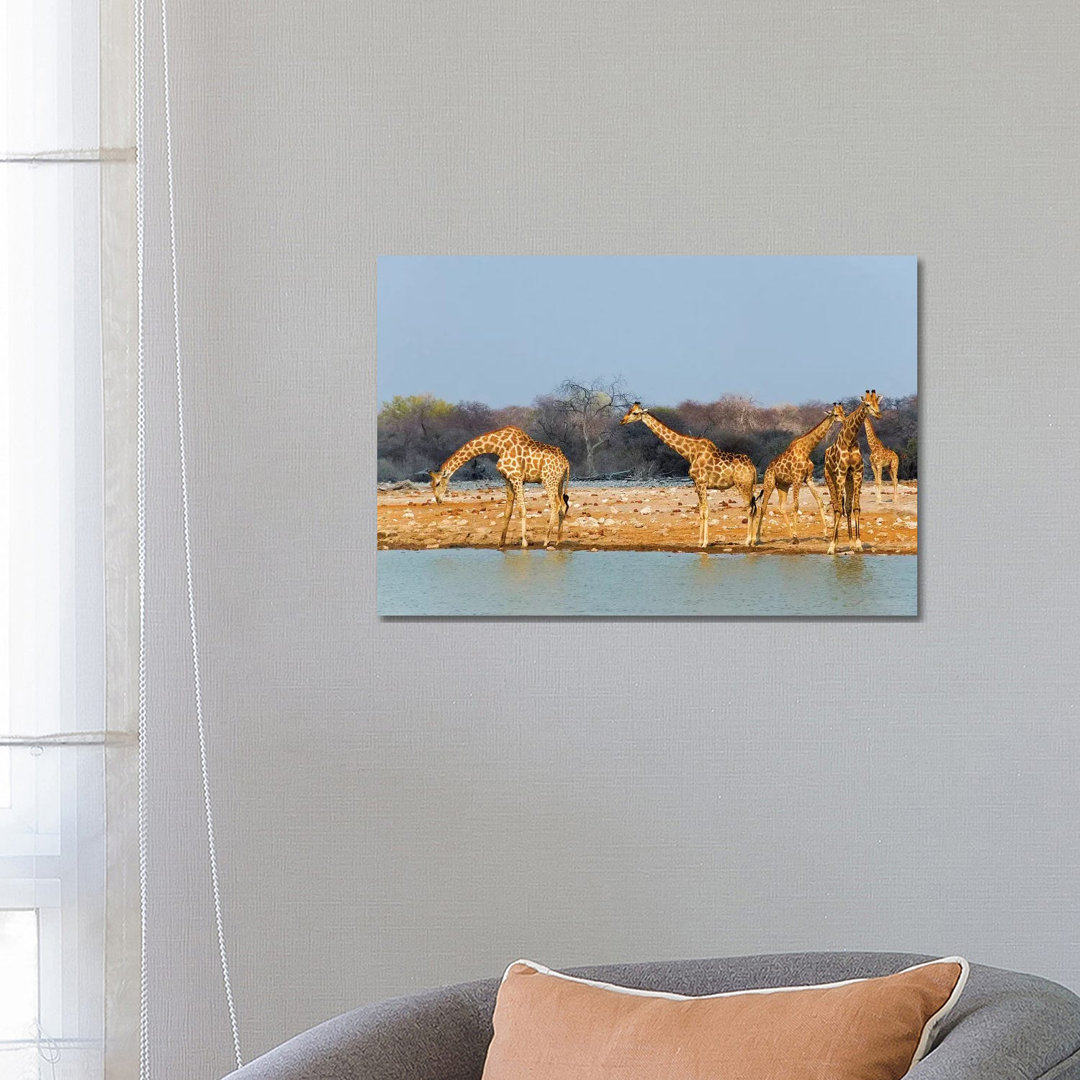 Giraffes By The River. Etosha National Park, Oshikoto Region, Namibia by Keren Su - Wrapped Canvas Painting