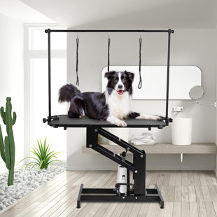 https://assets.wfcdn.com/im/60143779/resize-h310-w310%5Ecompr-r85/2483/248362904/dog-hydraulic-grooming-table.jpg