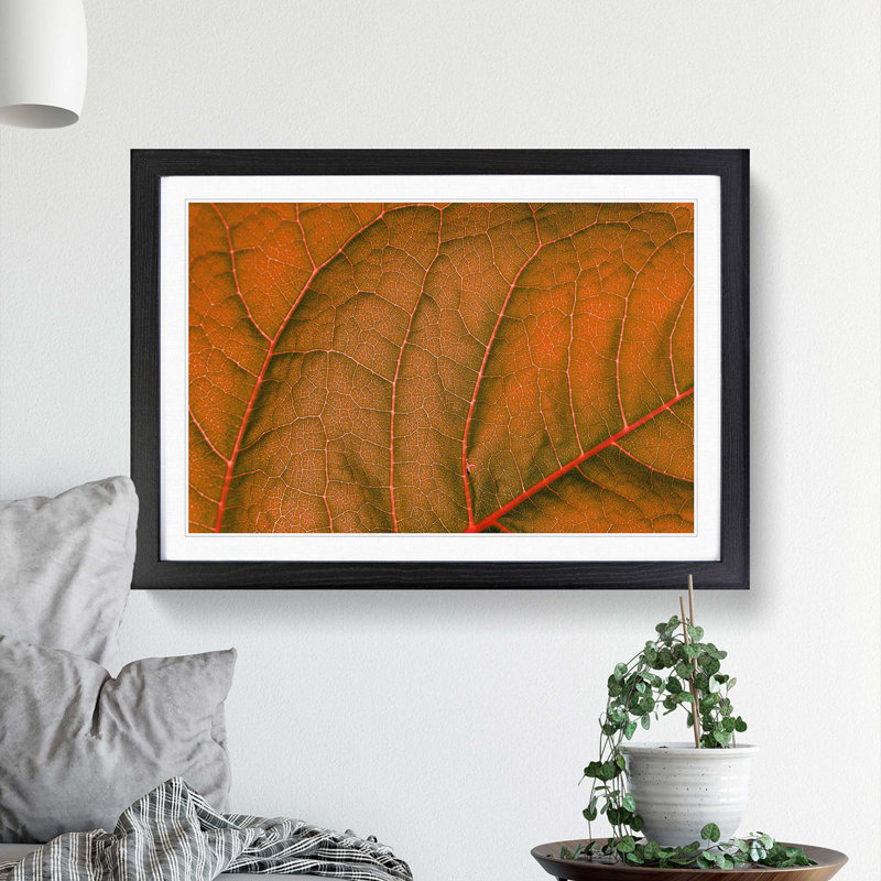 Leaf Veins - Picture Frame Photograph Print, 48cm H x 65cm W x 2cm D, Black Framed