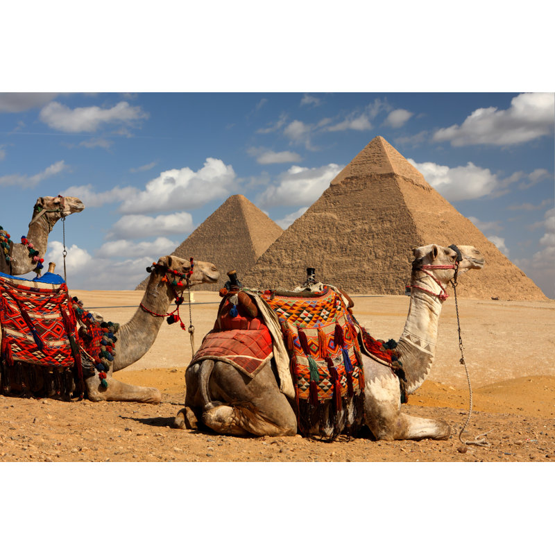 " Pyramids And Camels " by Sculpies, 36" W x 24" H